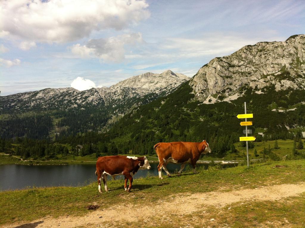 Pension Koeberl Bad Mitterndorf Buitenkant foto